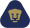 Pumas